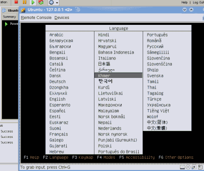 vmware-server20